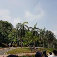 Jalan Istana ico