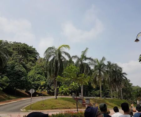 Jalan Istana