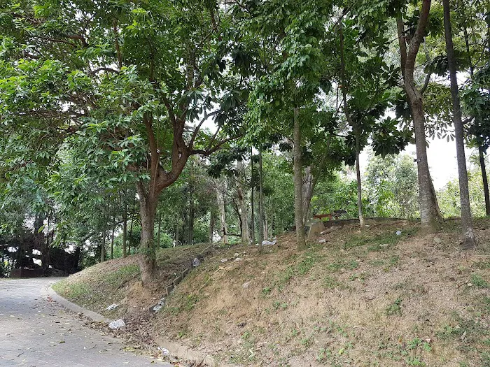 Jalan Istana Picture 3