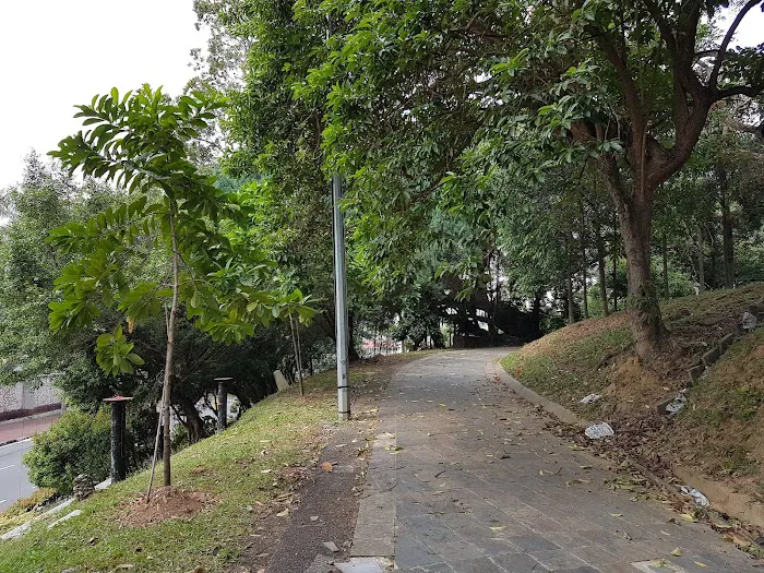Jalan Istana Picture 9