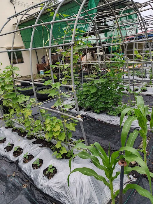 Phantira Garden Picture 5