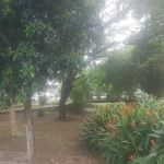 Taman Seratus