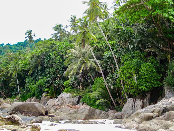 Pantai Pasir Panjang Picture 1