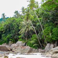 Pantai Pasir Panjang ico