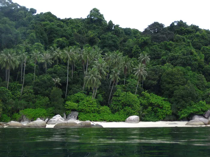 Pantai Pasir Panjang Picture 9