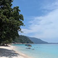 Turtle Beach ico