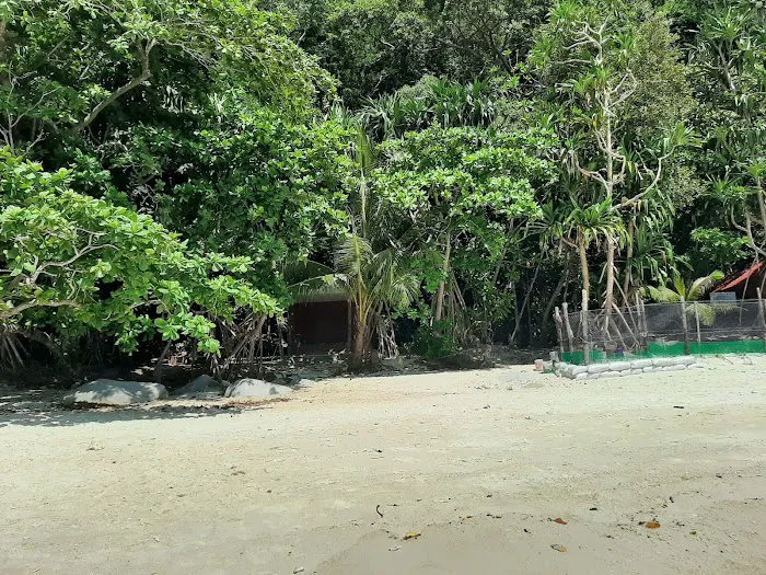 Turtle Beach Picture 6