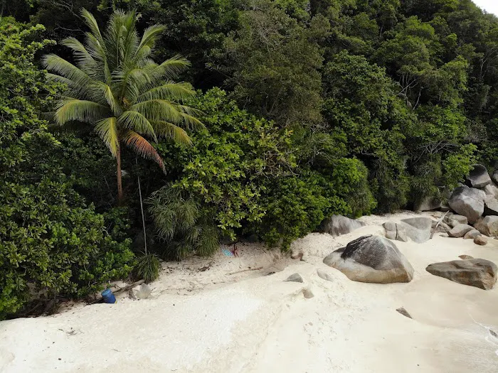 Turtle Beach Picture 3