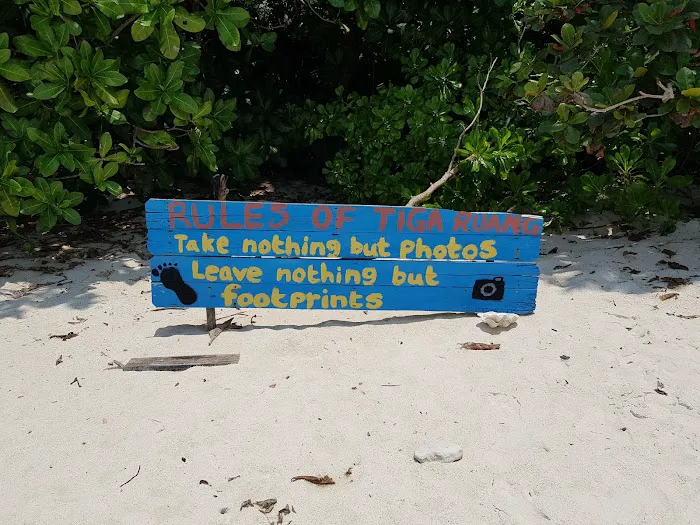 Turtle Beach Picture 8