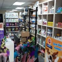 My Comel Enterprise ico