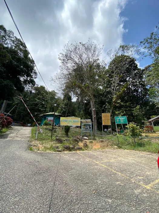 Dabong camp side stong hill waterfall Picture 3