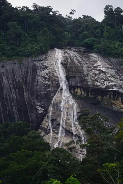 Dabong camp side stong hill waterfall Picture 2