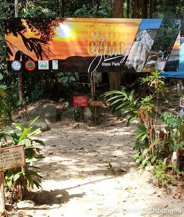 Dabong camp side stong hill waterfall Picture 9