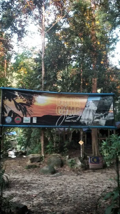 Dabong camp side stong hill waterfall Picture 5