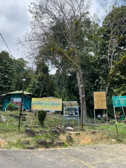 Dabong camp side stong hill waterfall Picture 10