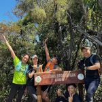 Stong Summit