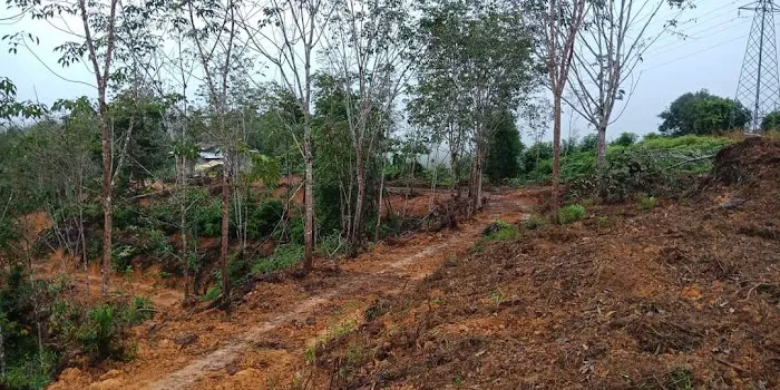 Soru Station Kota Damansara Picture 3