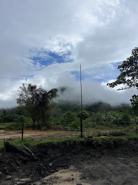 Pasir Raja Campsite Picture 7