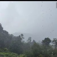 Base Camp ico