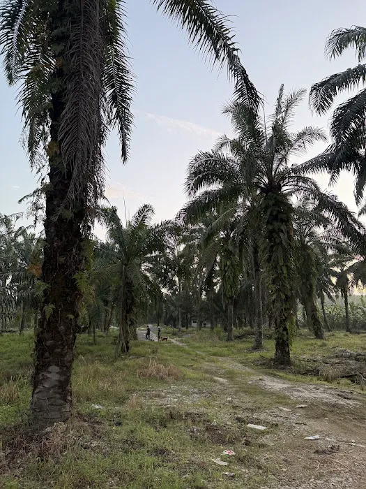 Sepang South Africa Hiking Trail Picture 10