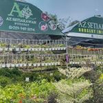 AZ SETIAKAWAN NURSERY (M) SDN BHD