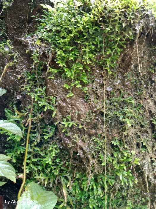 Strata waterfall Picture 1