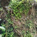 Strata waterfall