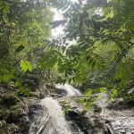 Trailhead Lata Perangin