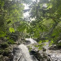 Trailhead Lata Perangin ico
