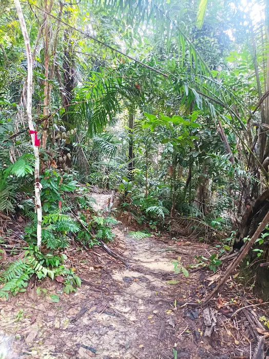 Trailhead Lata Perangin Picture 4