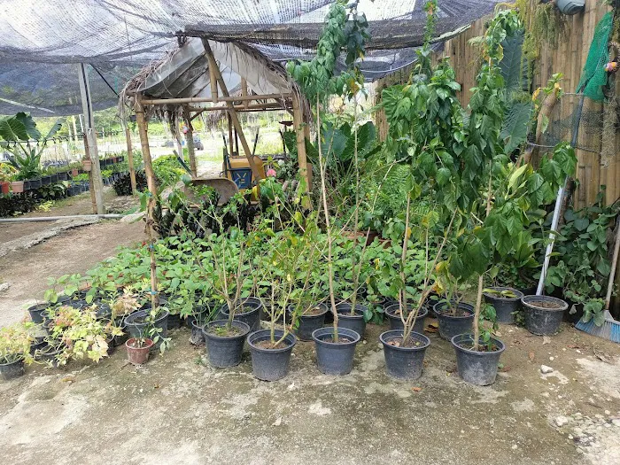 Taman Pertanian Adam Hawa Garden Picture 3