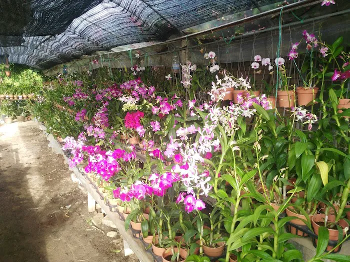 Taman Pertanian Adam Hawa Garden Picture 4