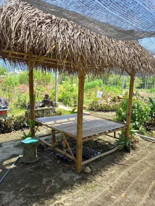 Taman Pertanian Adam Hawa Garden Picture 6