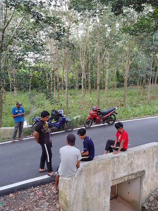 Udin Base Camp Picture 3