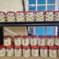 MY COOKIES CLASSIC ico