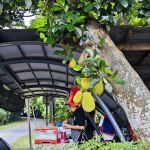 Jugra Hill Fruits & Drinks Stall