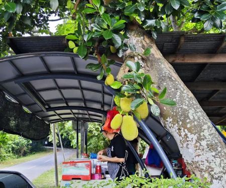Jugra Hill Fruits & Drinks Stall