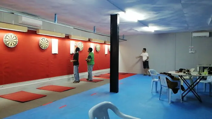 fun's house dart sport Picture 1