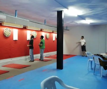fun's house dart sport