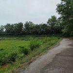 LITAR JOGGING BSP