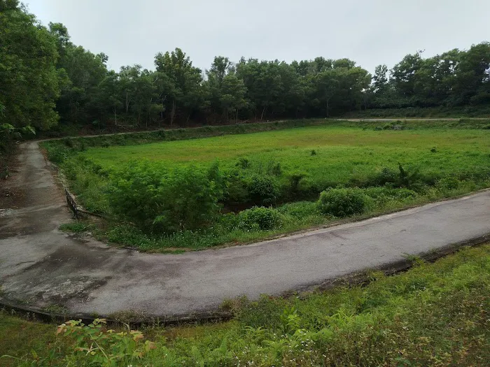 LITAR JOGGING BSP Picture 2
