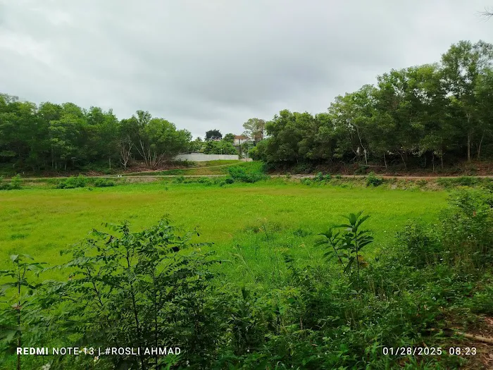 LITAR JOGGING BSP Picture 4