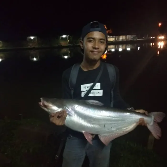 kolam pancing f bkt kepayang Picture 2