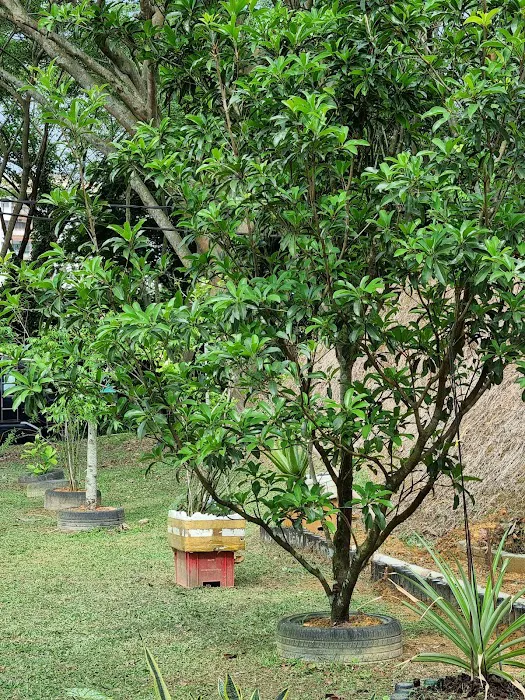 Taman Desa Sri Bayu Playground Picture 5