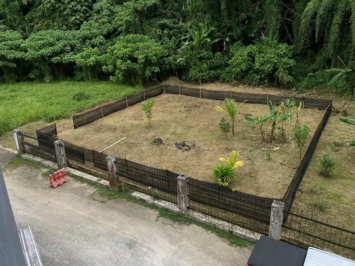 Kebun Afiq Picture 1