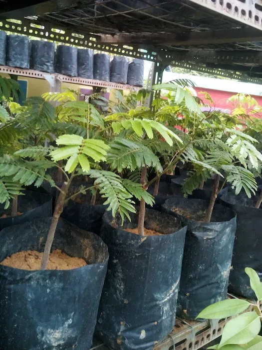 Rio Gemilang Trading Picture 1