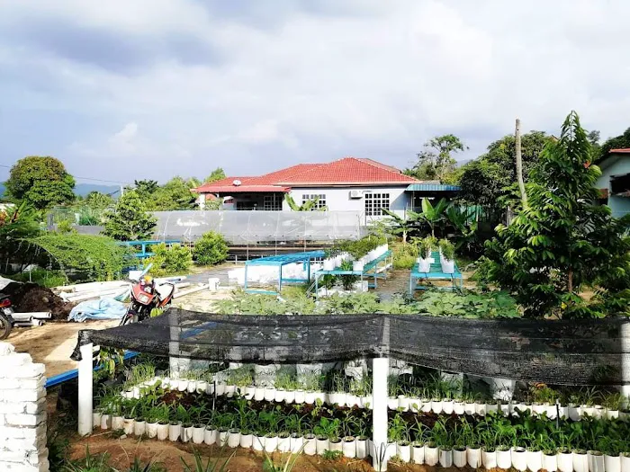 Kebun Komuniti KSJ Picture 8