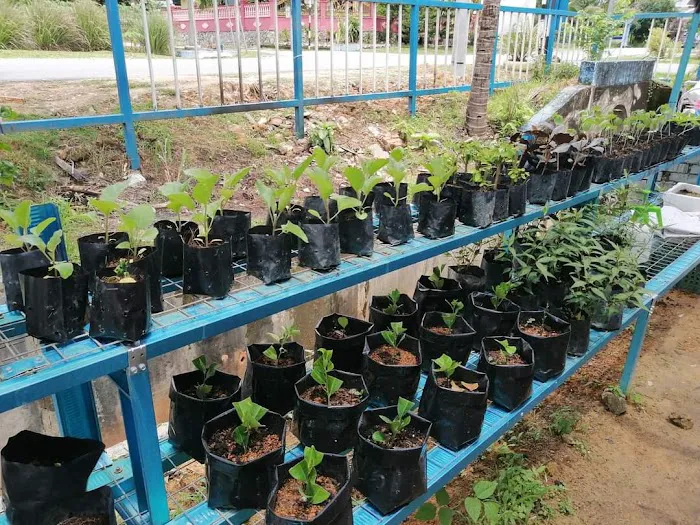 Kebun Komuniti KSJ Picture 7