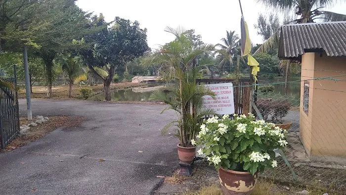 Tapak Semaian (Nurseri) MBS Picture 1