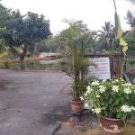 Tapak Semaian (Nurseri) MBS
